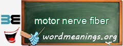 WordMeaning blackboard for motor nerve fiber